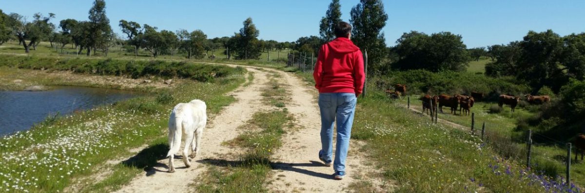 Paseando por la vida, escribí esto